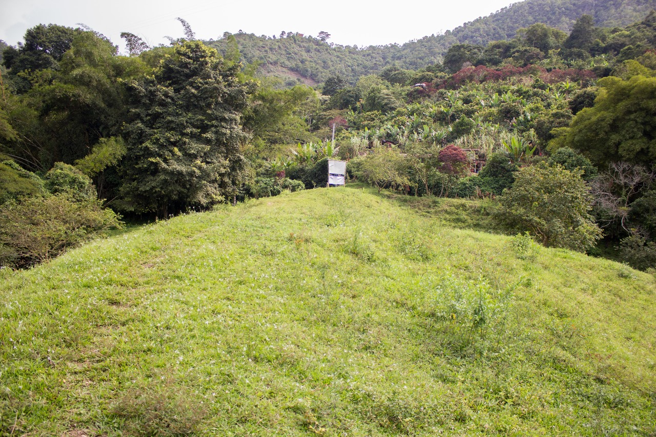 Tierra disponible en La Vega