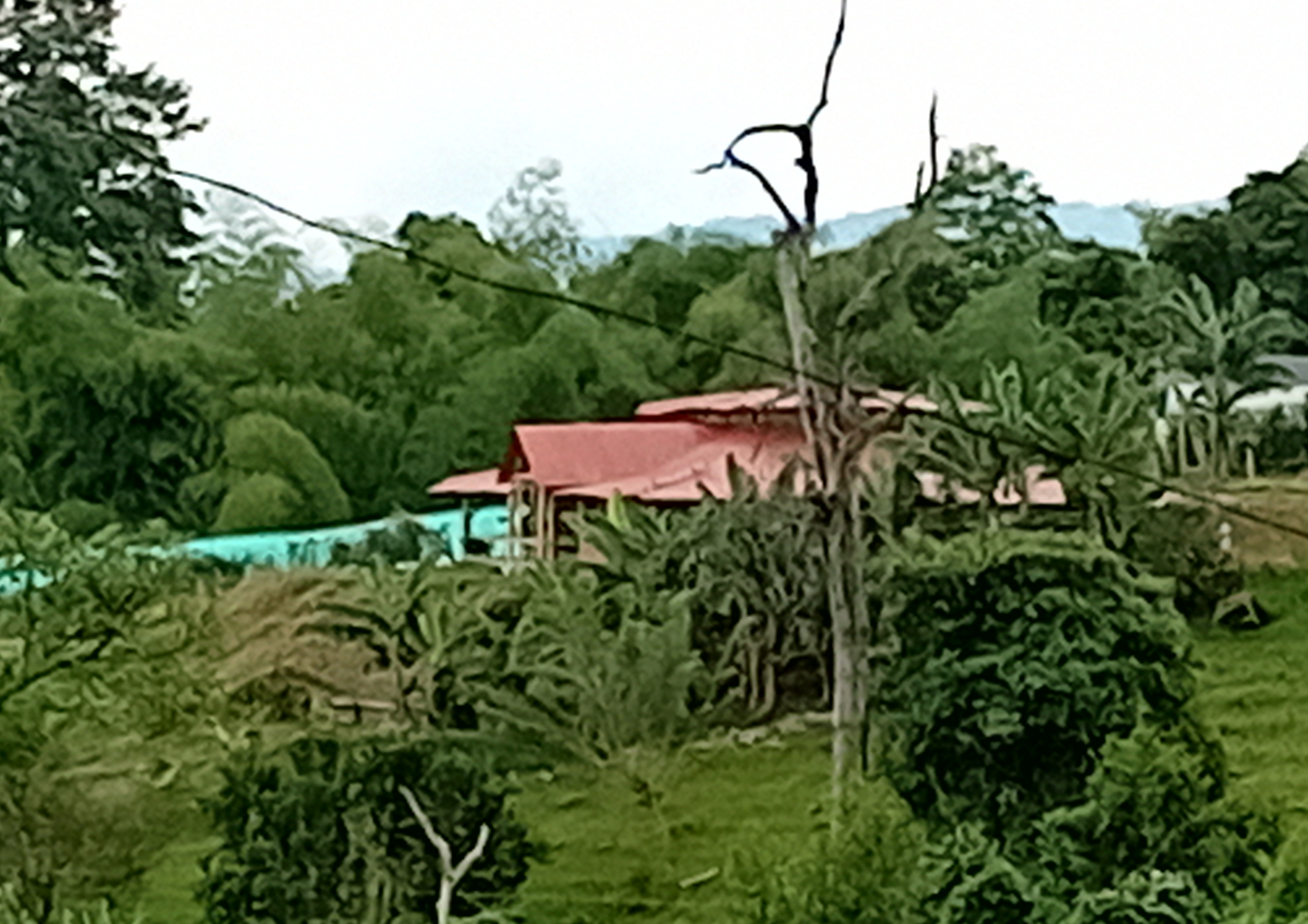 Granjita El Milagro