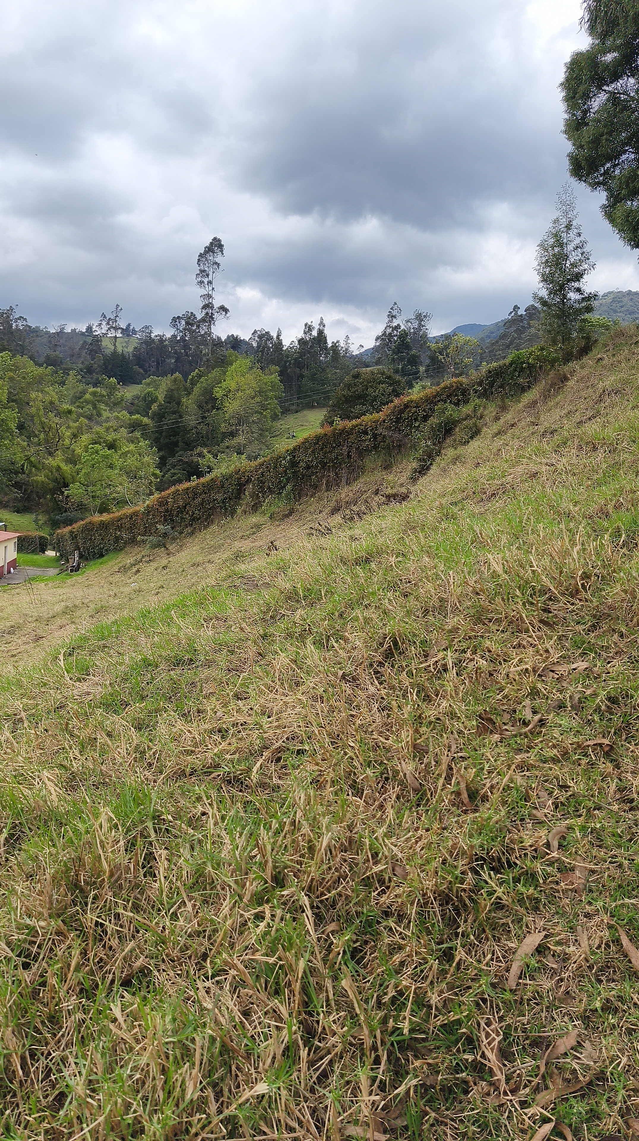 TIERRA · UBICACIÓN APROXIMADA 3