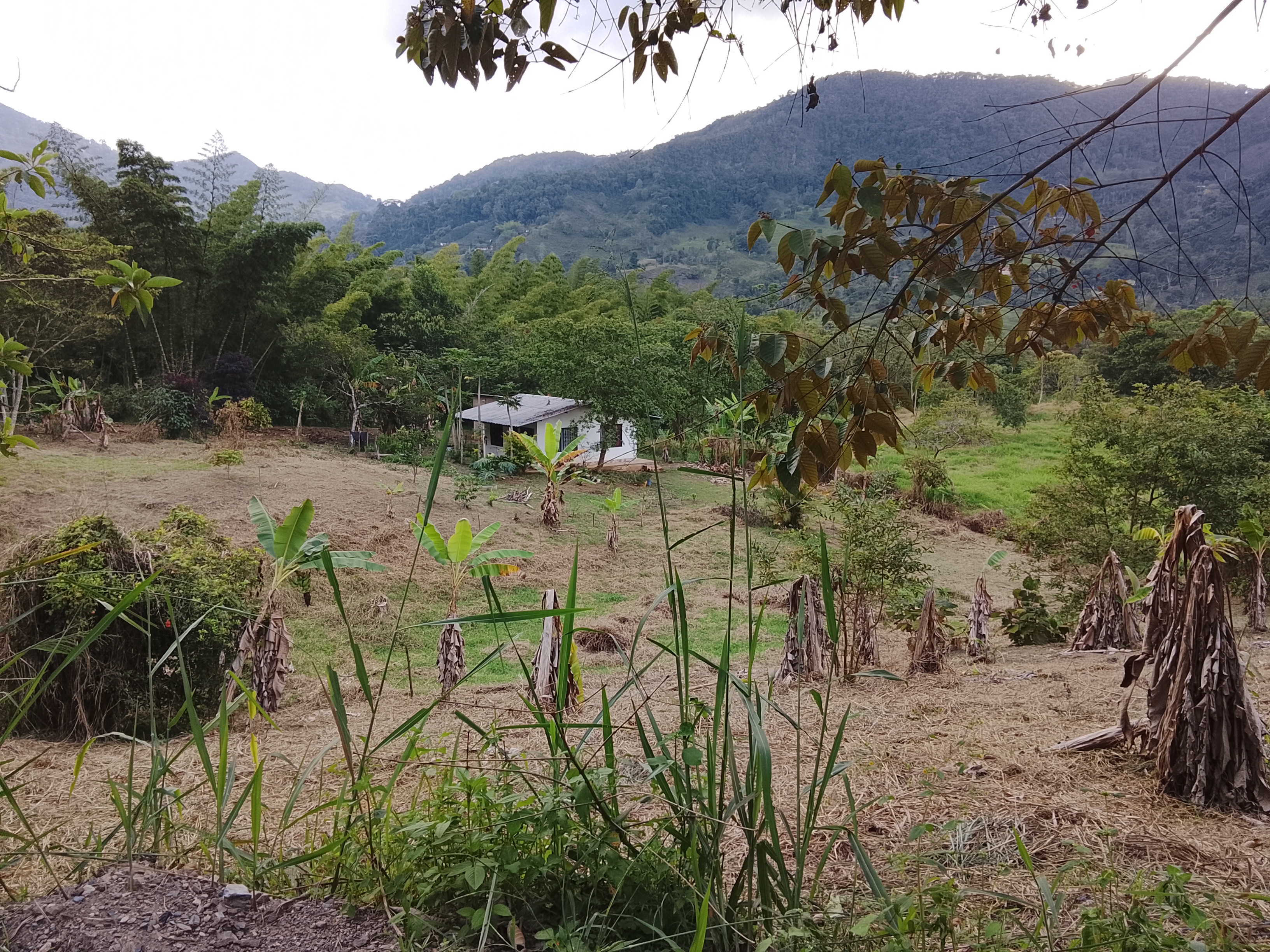 Tierra disponible en Supatá
