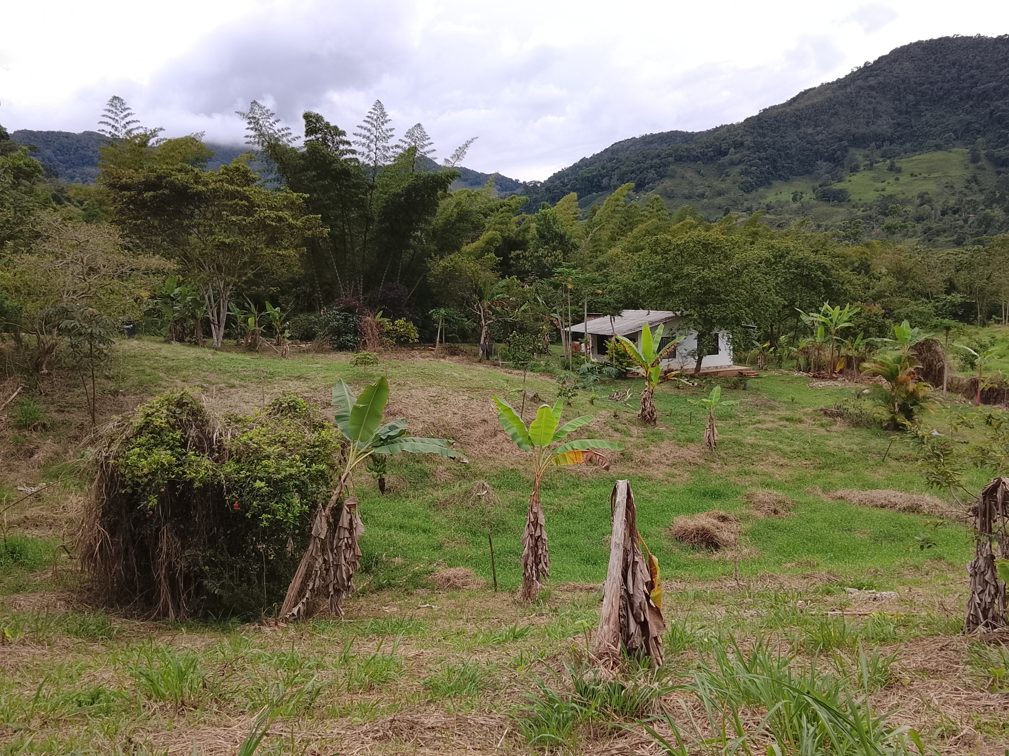 TIERRA · CUNDINAMARCA 2