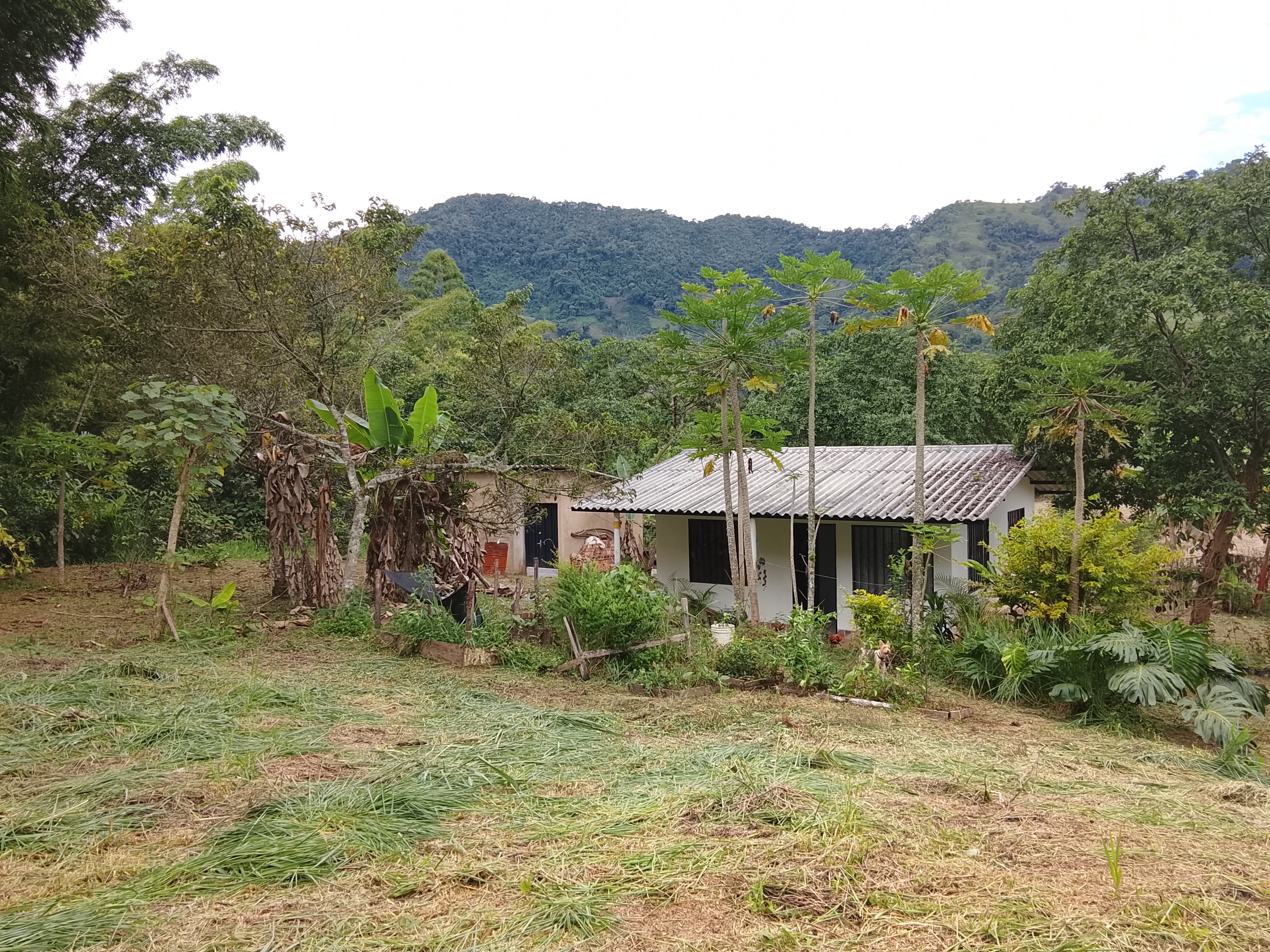 Tierra disponible en Supatá