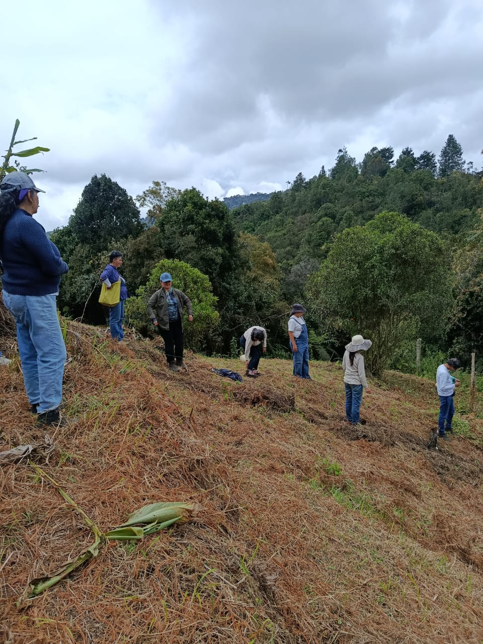 PROYECTO · ANTIOQUIA 3