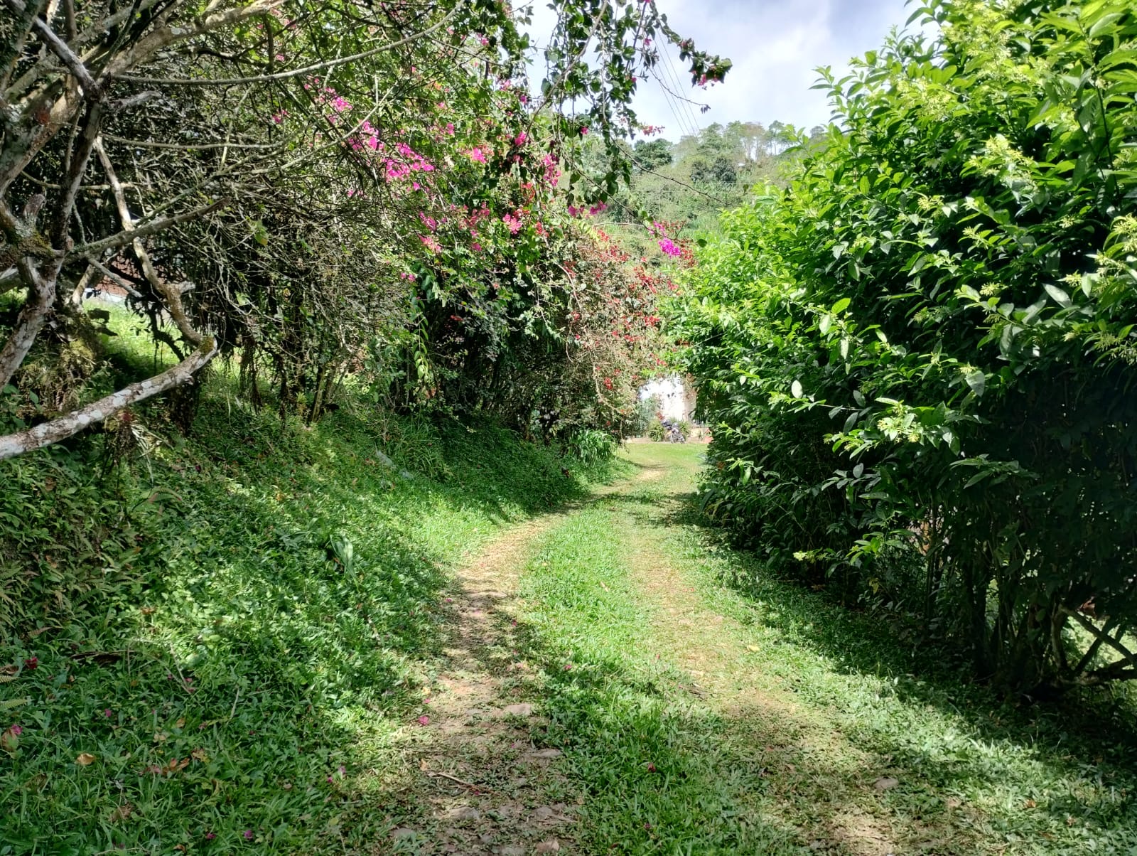 TIERRA · CUNDINAMARCA 2
