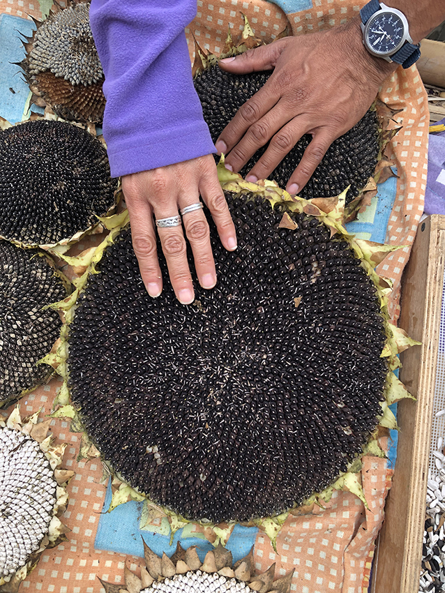 TIERRA · UBICACIÓN APROXIMADA 2