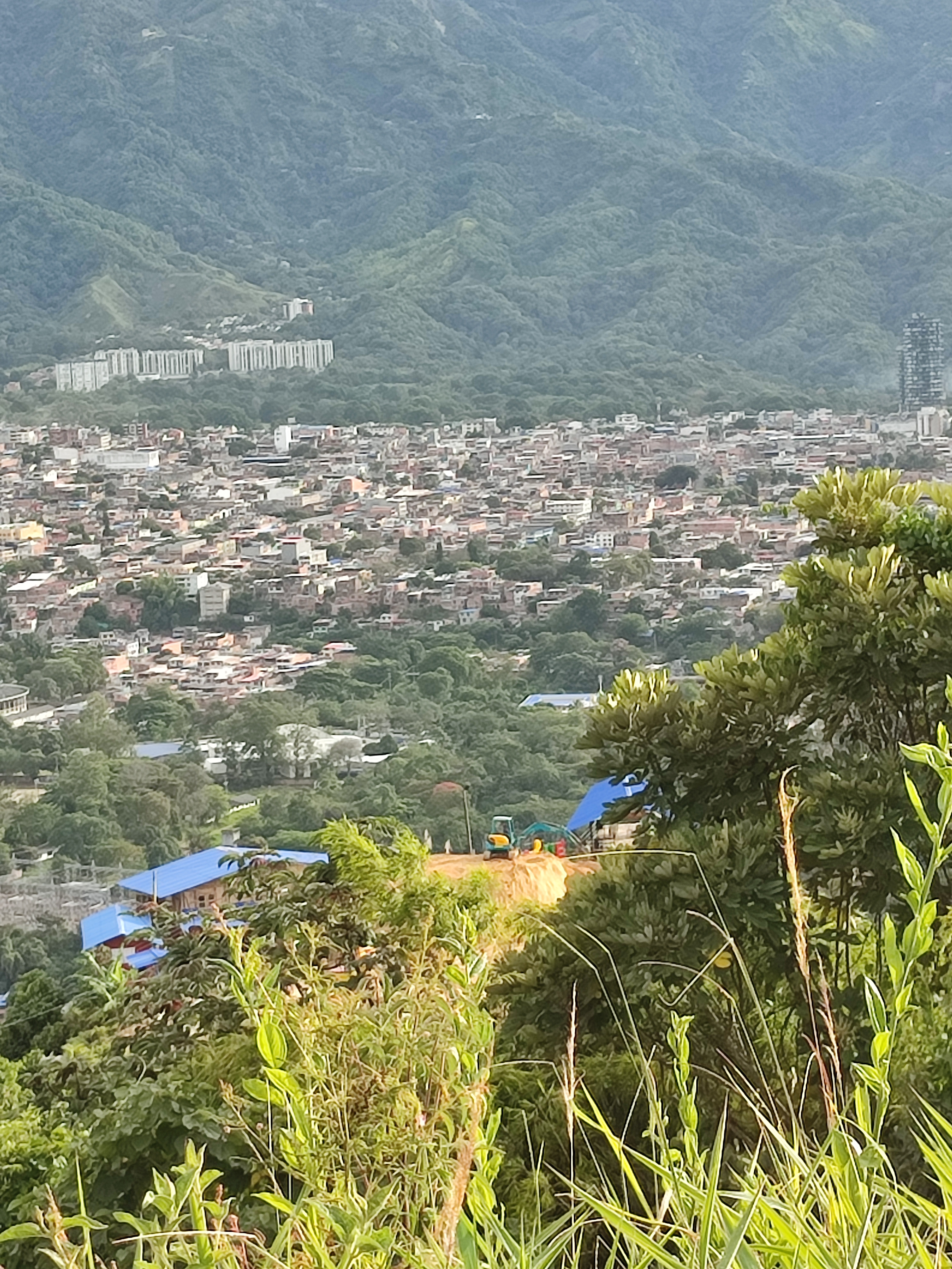 PROYECTO · TOLIMA