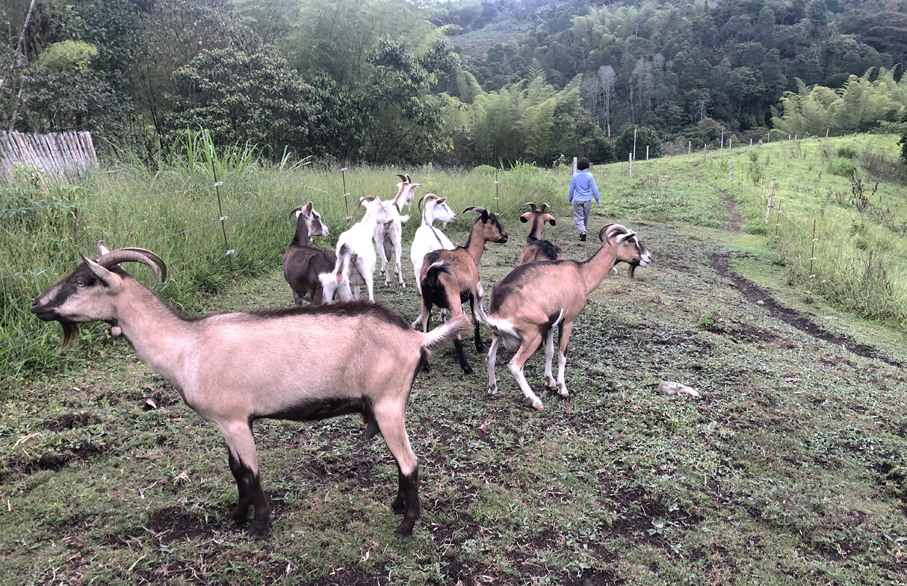TIERRA · UBICACIÓN APROXIMADA