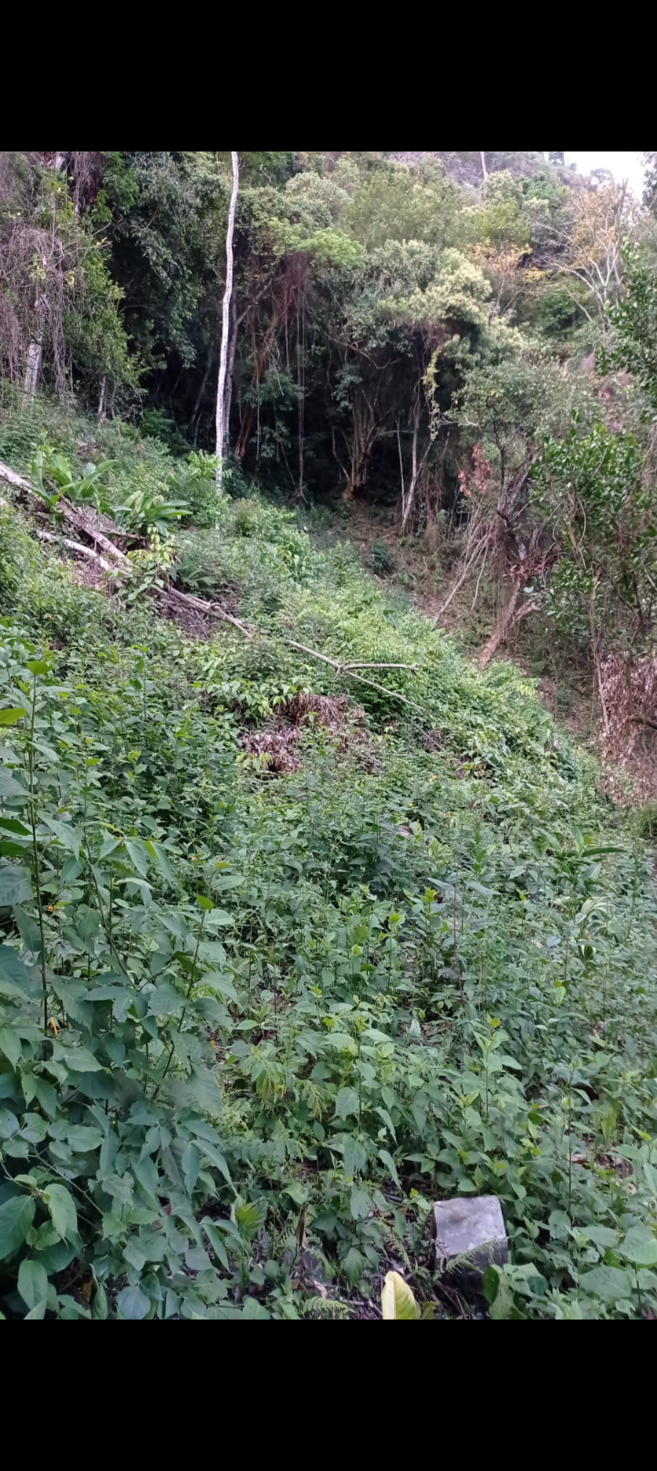 TIERRA · CUNDINAMARCA 3