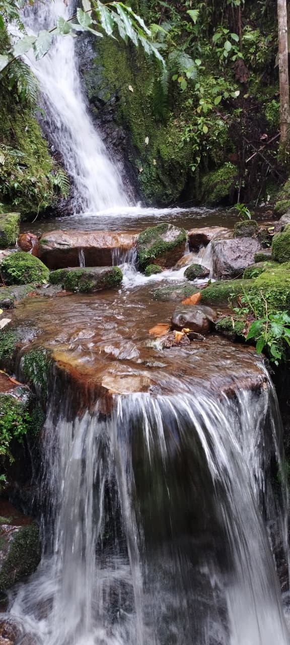 JOYA DE LA MONTAÑA