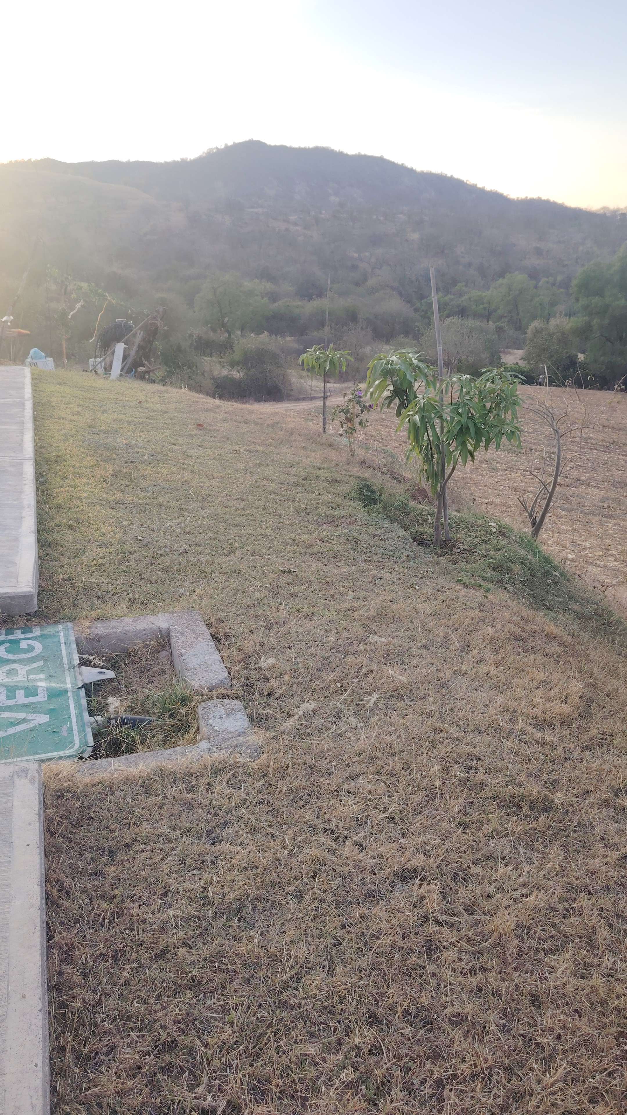 PROYECTO · OAXACA
