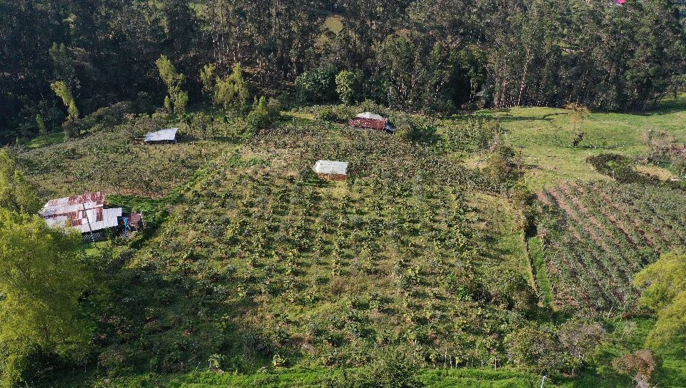 PROYECTO · CUNDINAMARCA 2