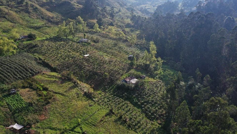PROYECTO · CUNDINAMARCA 3