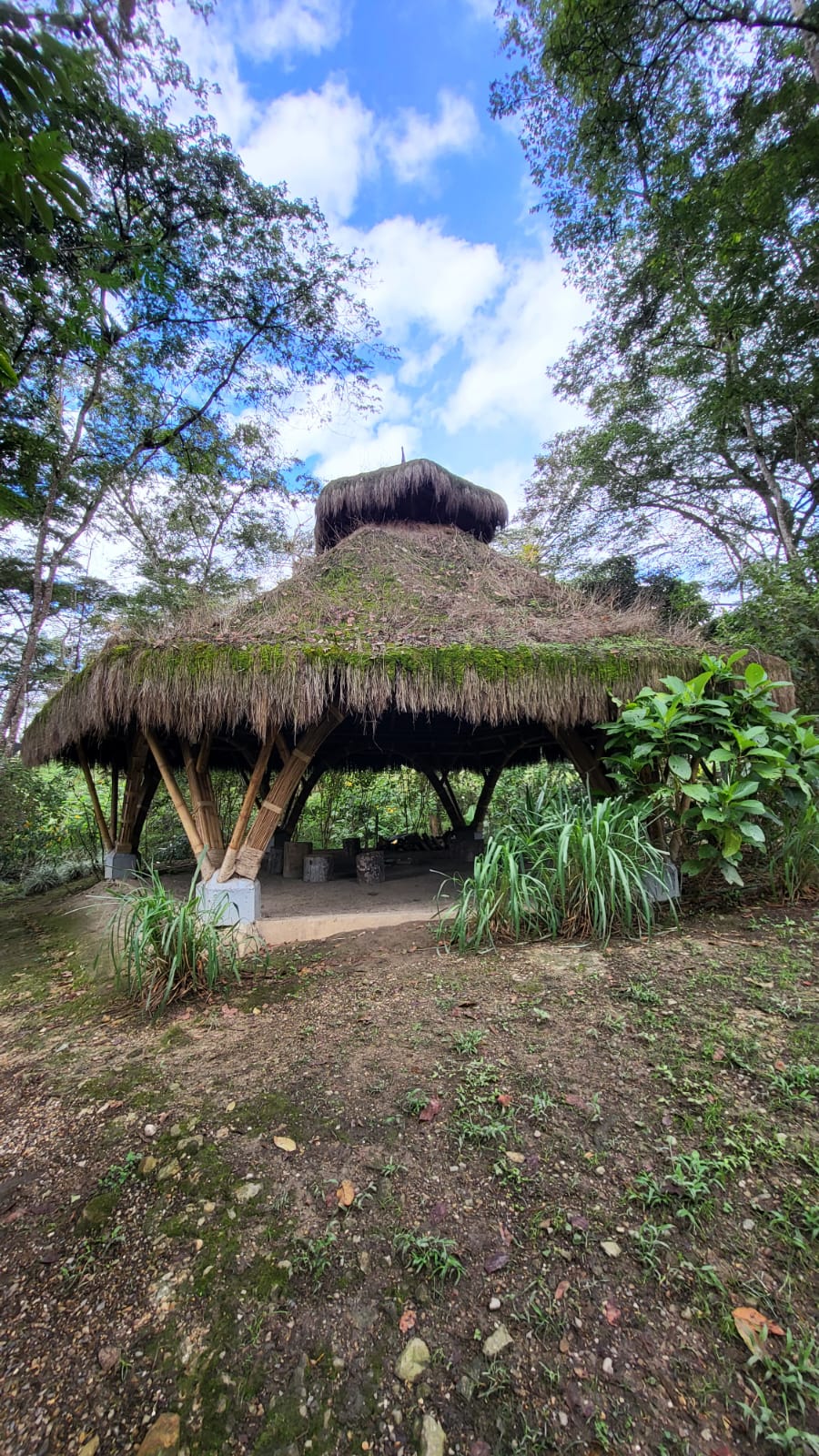 Proyecto en El Nahual COHI Tierra Bosque, Silvania, Cundinamarca