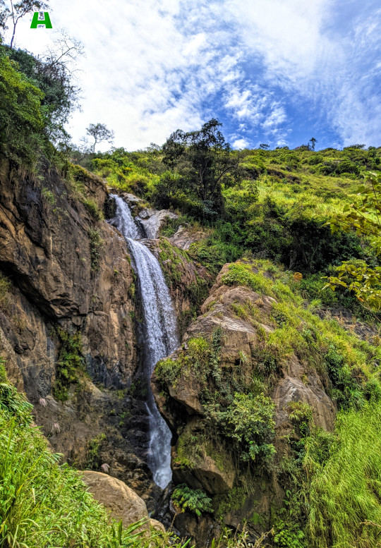 PROYECTO · HUILA