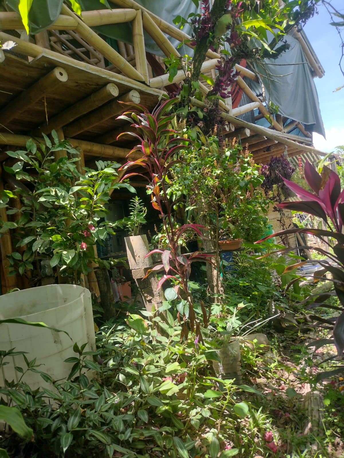TIERRA · HUILA 2