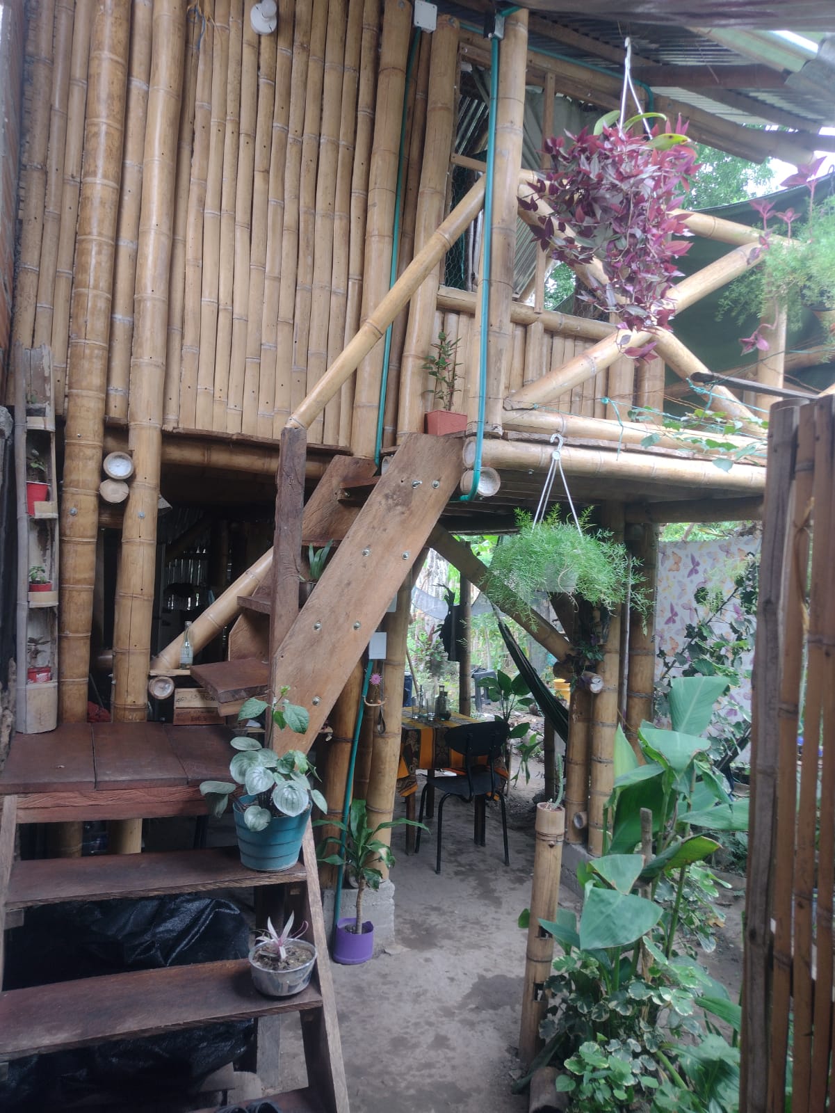 TIERRA · HUILA 4